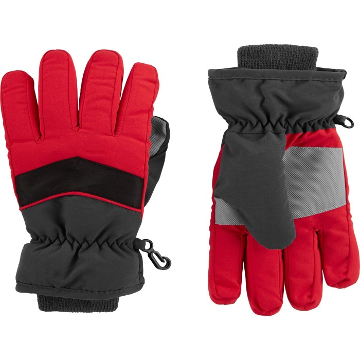 Ski Gloves